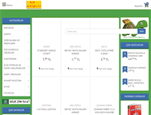 Tablet Screenshot of ecekirtasiye.com